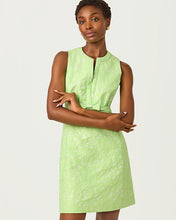 Load image into Gallery viewer, Sobel Shift Dress - Pistachio Macaron Floral Cutwork Metallic Stripe