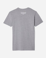 Load image into Gallery viewer, Freedom T-Shirt - Gray