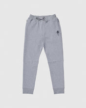 Load image into Gallery viewer, Kids' & Adult OG Performance Joggers - Gray