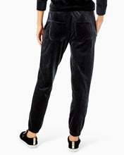 Load image into Gallery viewer, 28" Mallie Velour Pant - Onyx