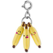 Load image into Gallery viewer, Charm It Charms