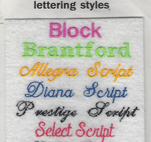 Load image into Gallery viewer, Weekender Travel Bag - Scout