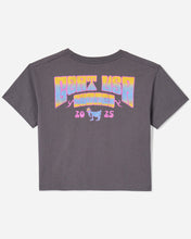 Load image into Gallery viewer, Summer Tour Crop Top
