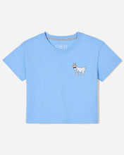 Load image into Gallery viewer, OG Women&#39;s Crop Top - Carolina Blue
