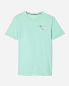 OG T-Shirt - Mint - Toddler