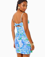 Load image into Gallery viewer, Shelli Stretch Dress - Frenchie Blue Suns Out
