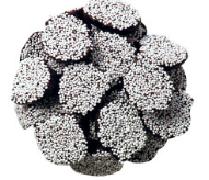 Dark Chocolate Nonpareils